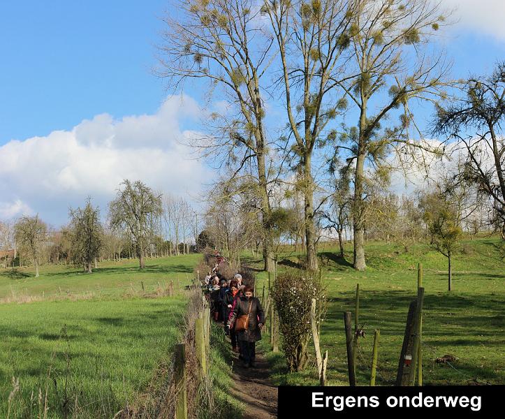 Winterwandeling op 2-3-2014 org. Armand en Judith Menten (15).JPG